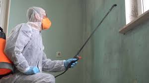 Mold Odor Removal Services in London, CA